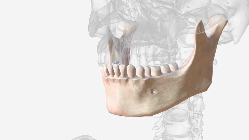 Impianti dentali e salute dell’osso: perché sono strettamente collegati 1 impianti dentali e salute dell’osso